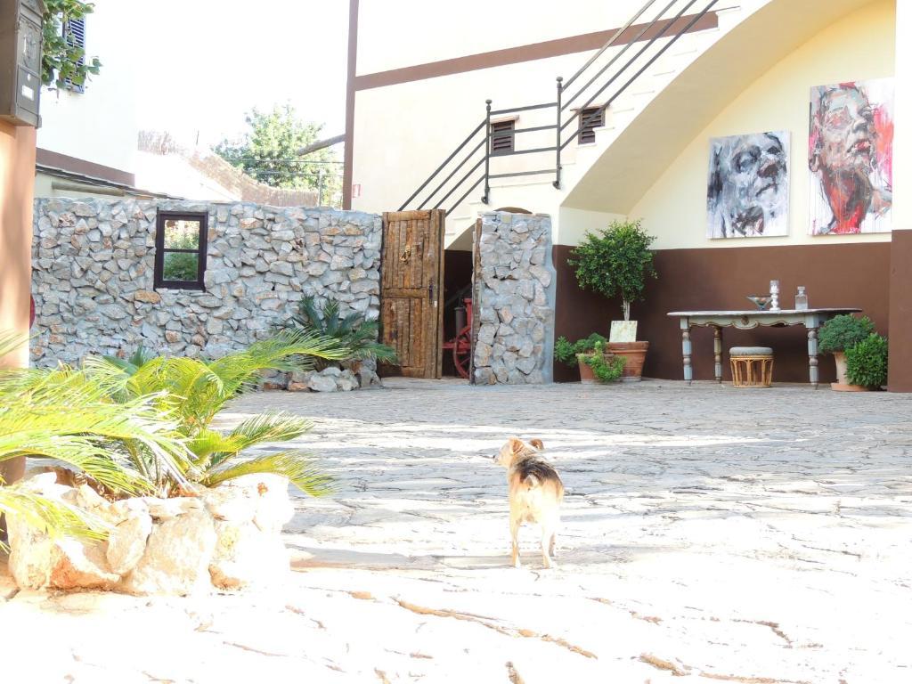 Loftotel Canet เอสปอร์เลส ภายนอก รูปภาพ